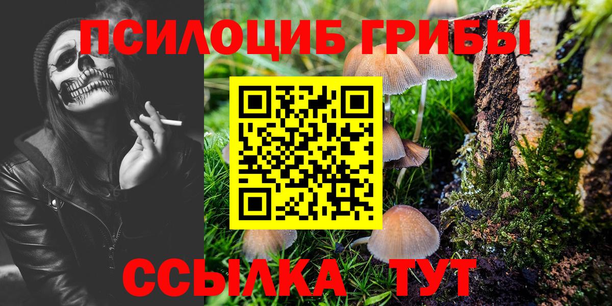 Псилоцибиновые грибы Cubensis  Псилоцибиновые грибы мицелий  Вход с VPN  Можга 